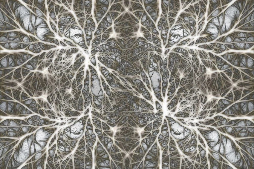 Нанопроводная «мозговая» сеть учится и запоминает «на лету»