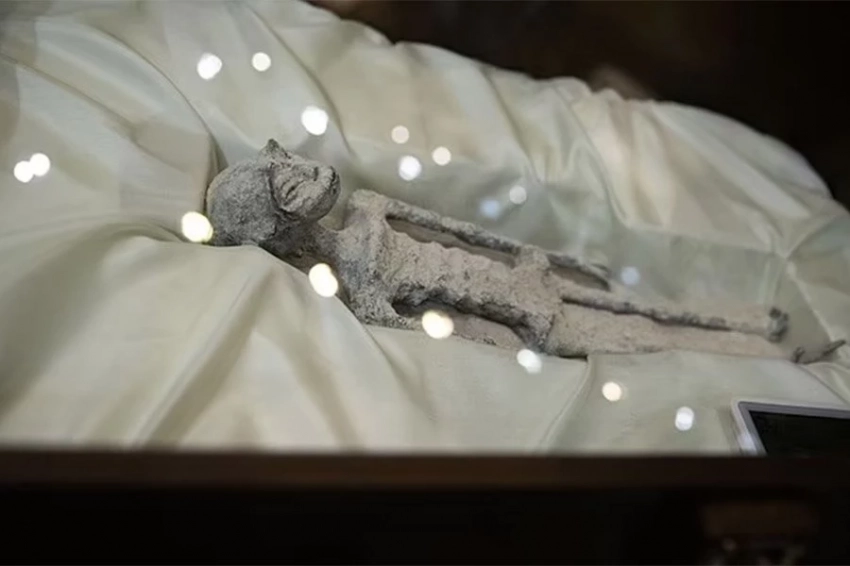 Энтузиаст НЛО утверждает, что мумифицированные «инопланетяне» из Перу на 30% содержат ДНК «неизвестного вида»