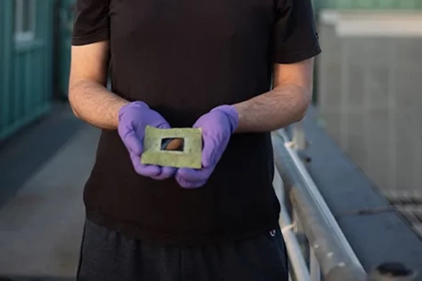 Ученые создали «искусственные листья» и научили их производить водород