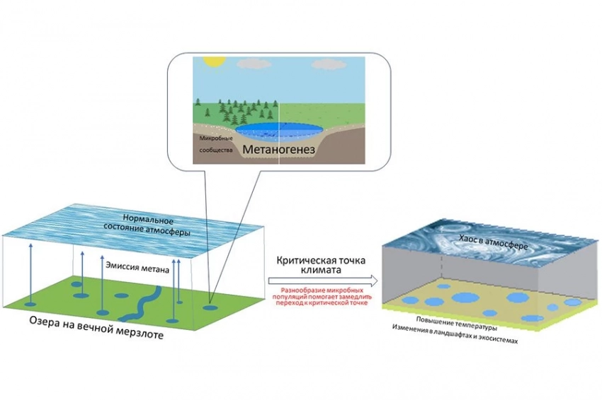 Микробы в вечной мерзлоте могут помешать резкому потеплению климата