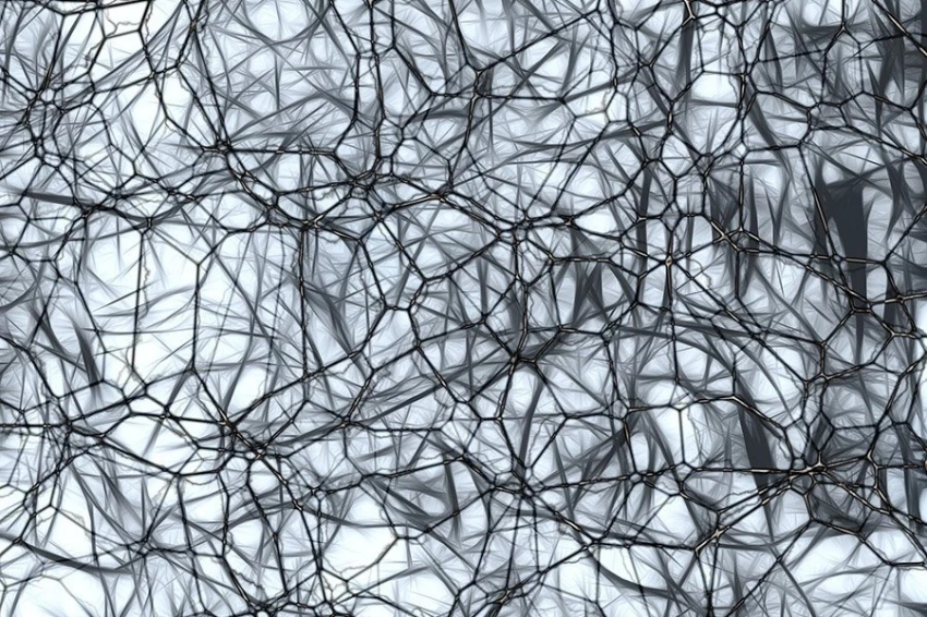 Новый математический подход дает представление о формировании памяти