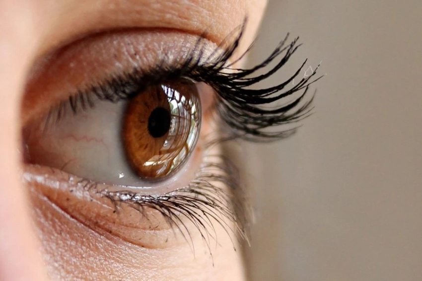 Особенности сосудов сетчатки могут помочь предсказать риск инсульта