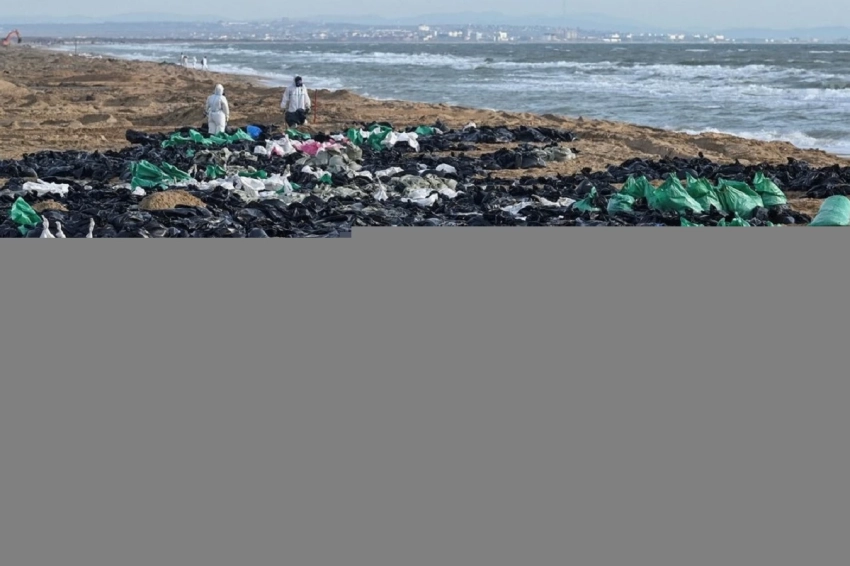 Эколог Крыленко: курортный сезон удастся спасти, если сейчас решить вопрос с мазутом