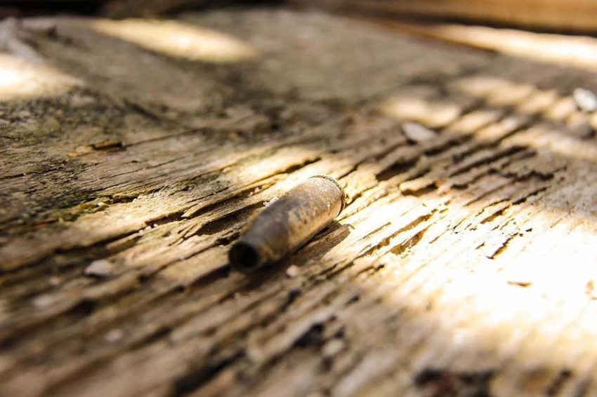 Хинштейн: списки пропавших в Курском приграничье должны быть публичны