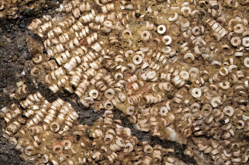 В Испании обнаружено крупнейшее одиночное захоронение с бусинами