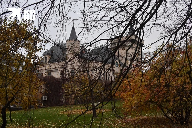 Печальные известия об Алле Пугачевой и Максиме Галкине*: вот что случилось