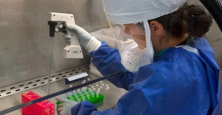 Праздники, которые отметят в России и мире 12 февраля 2025 года