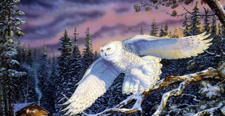 Народный праздник День Панкратия отмечают православные 22 февраля 2025 года