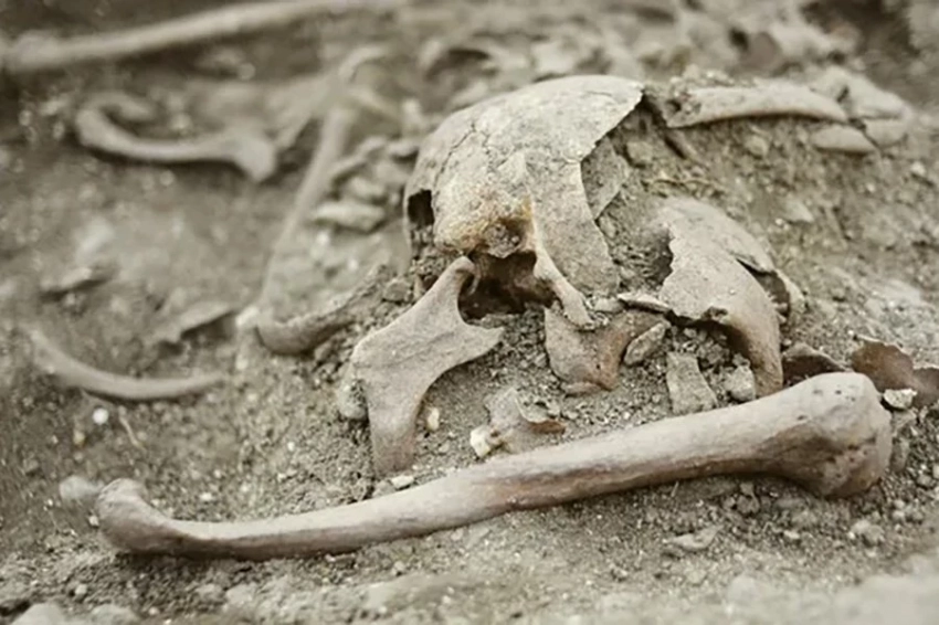 Средневековое захоронение «вампира» найдено в Хорватии 