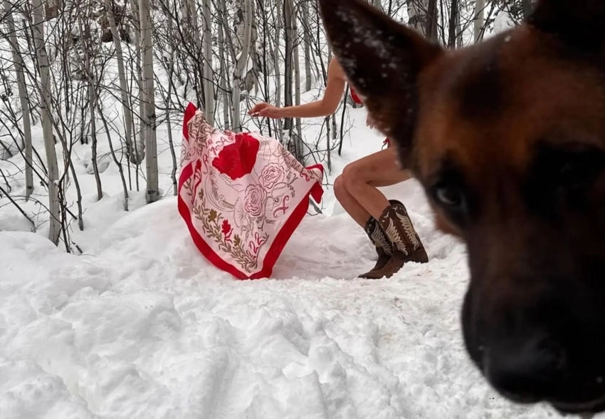 Белла Хадид позирует в сугробах (и с собачкой), а Настя Ивлеева — всё ещё брюнетка: соцсети звёзд за неделю