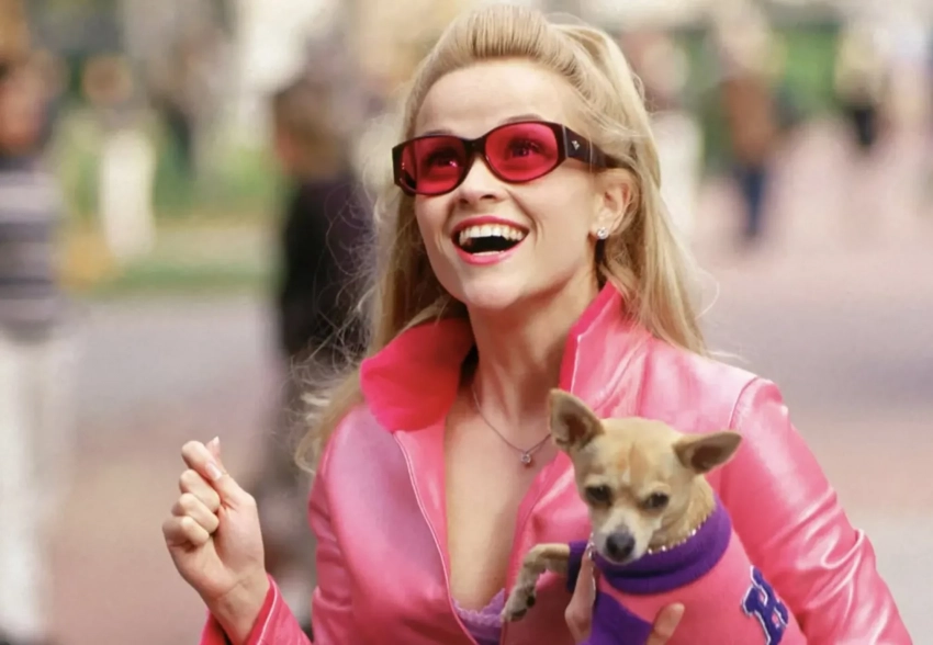 Стало известно, кто сыграет главную роль в приквеле "Блондинки в законе"