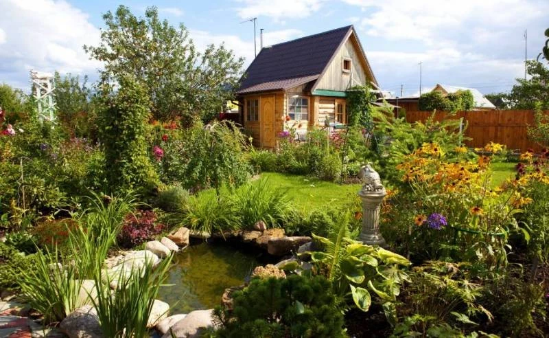 Штрафы для дачников в 2025 году: советы юриста Васильевой