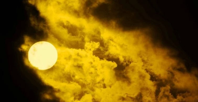 Лунный календарь пересадки комнатных цветов: когда и как правильно пересаживать растения в 2025 году