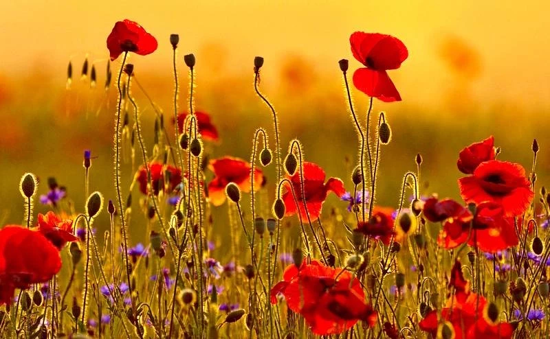 Поверья и приметы 16 марта 2025 года связаны с Евтропиевым днем