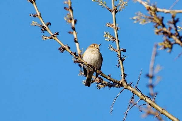 Народные приметы и поверья на 19 марта 2025 года помогут лучше узнать особенности жизни наших предков