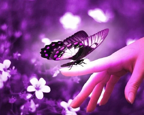 Фиолетовый день 26 марта 2025 года напоминает, что нужно быть милосерднее к страданиям больных эпилепсией