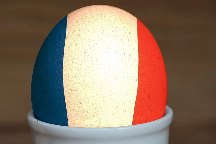 В полку «Наполеонов» прибыло, или День открытых дверей в европейском дурдоме