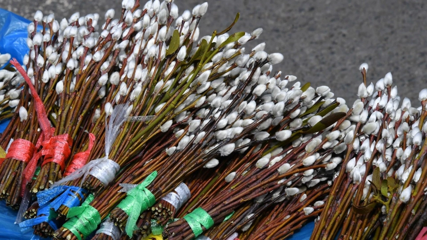 Что можно и что нельзя делать в Вербное воскресенье, какие традиции соблюдать