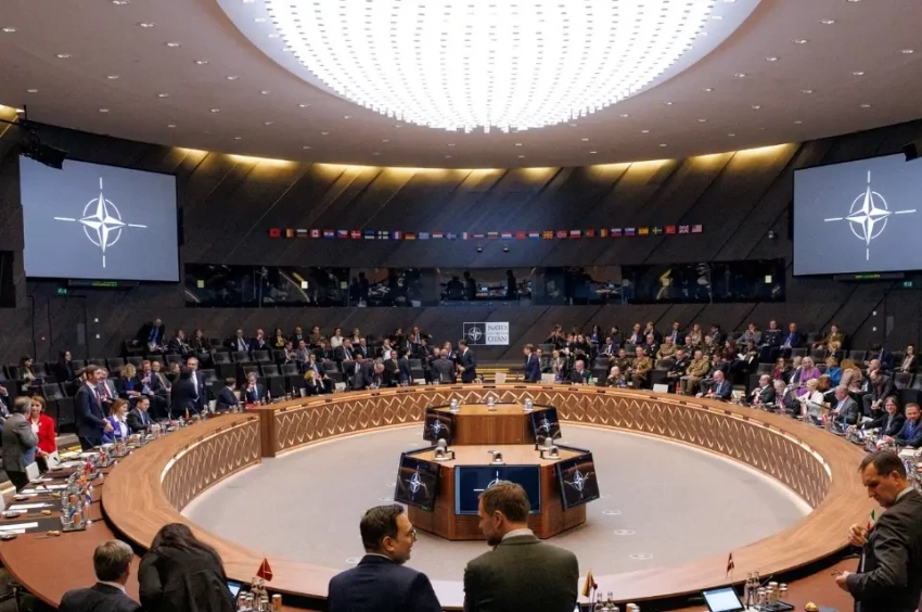 Politico: из-за смены позиции США НАТО отказалось от формулировок «женщины, мир и безопасность» и других терминов