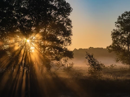 Приметы и поверья на 3 мая 2025 года подскажут, когда сеять пшеницу