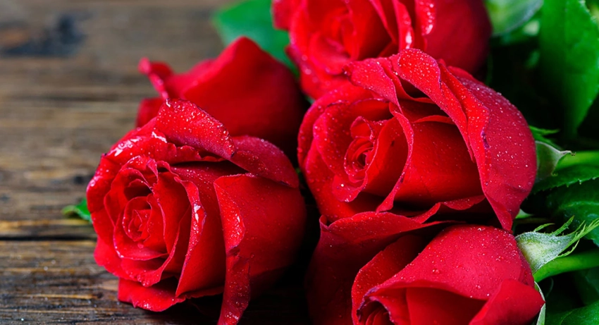 Откуда взялся обычай дарить четное или нечетное количество цветов, правила