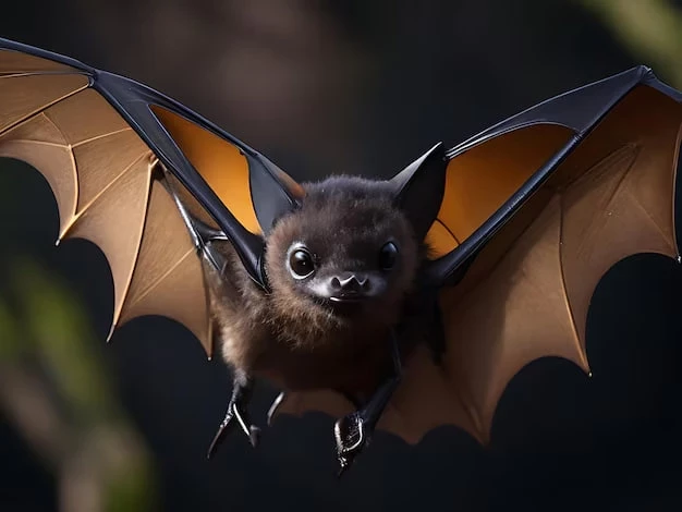 Самые интересные народные приметы про летучую мышь