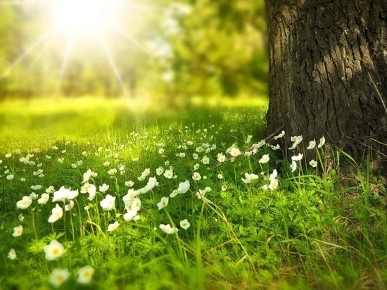 Приметы и поверья на 24 июня 2025 года укажут, что можно делать в этот день