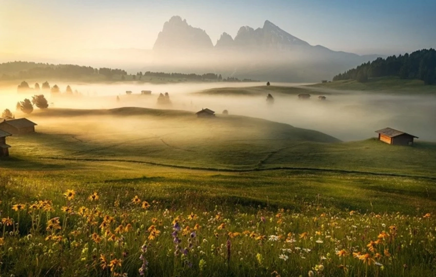 Традиции и обряды на Тихона Тихого, 29 июня 2025 года