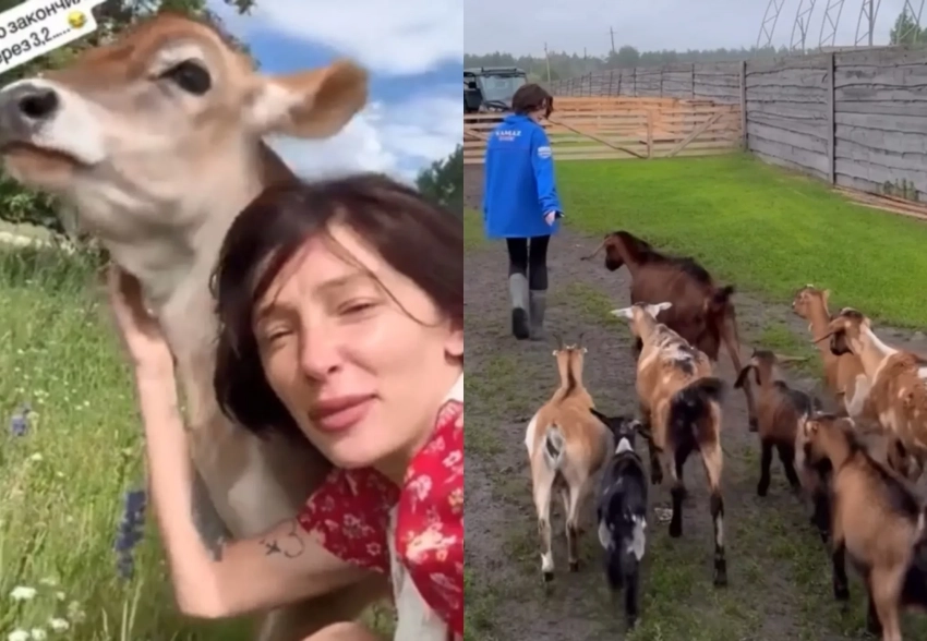 "Главное — найти вторую тварь". Настя Ивлеева пошутила о своей новой фермерской жизни