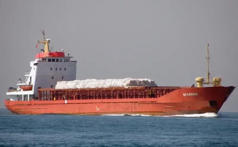 Йеменские хуситы захватили в Красном море связанное с Израилем судно для перевозки животных