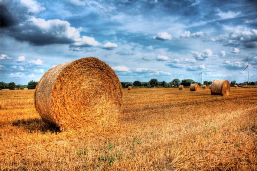 Церковный праздник апостола от 70 Акилы Гераклейского и народный Дозоры 27 июля 2025 года: традиции, запреты, молитва