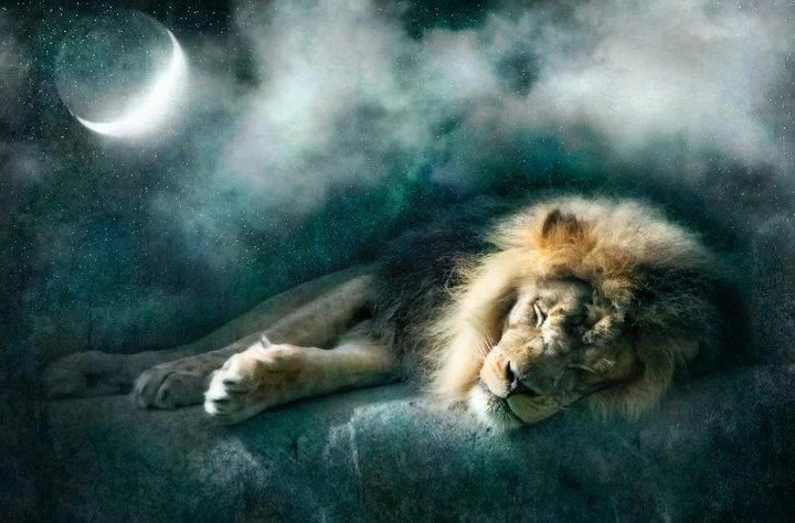 Время откровений: на что обращать внимание в августовских снах