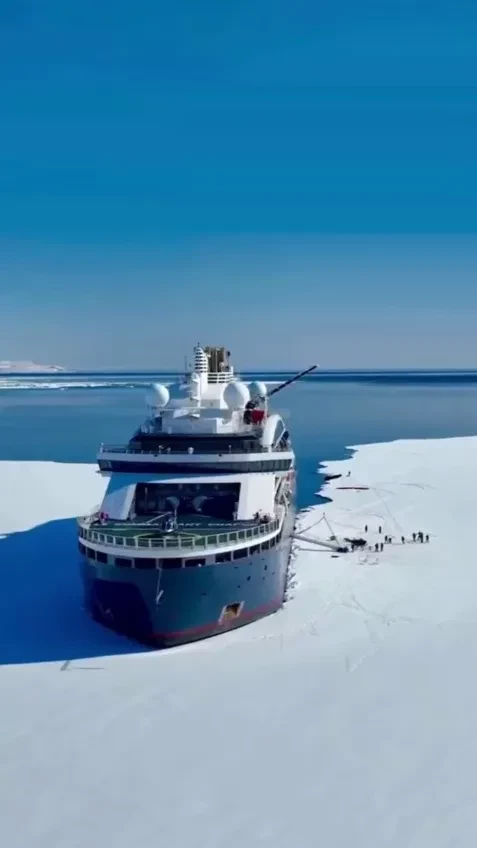 "Это чисто "Треугольник печали". В сети обсуждают скандал с отменой ВИП-круиза на Северный полюс с топ-менеджерами "Газпрома", "Яндекса", Сергеем Шнуровым и Ксенией Бородиной