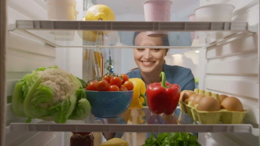Правильная температура и размещение продуктов на полках холодильника: что нужно сделать, чтобы сохранить и еду, и технику