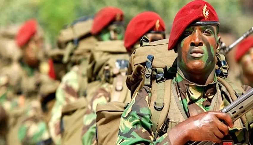 «Наша миссия – восточный часовой»: Португалия создаёт бригаду против России